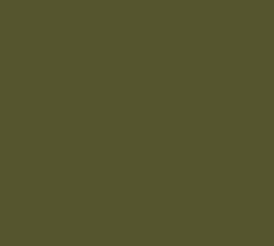 AK Interactive 11334 AFV Series: Olive Drab Base 3G Acrylic Paint 17ml Bottle
