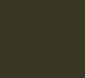 AK Interactive 11367 AFV Series: Base Green Protective 3G Acrylic Paint 17ml Bot