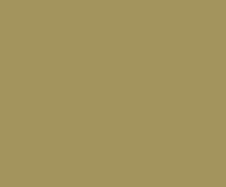 AK Interactive 11383 AFV Series: British Light Mud 3G Acrylic Paint 17ml Bottle