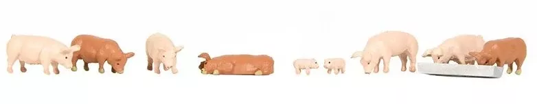 Bachmann Pigs