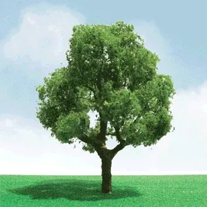 JTT Scenery Products O 92401 Deciduous Trees Pro Elite