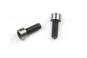 SER401691Steering Mount Screw (2) Project 4X (Serpent)